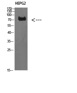 ER65721_1.jpg