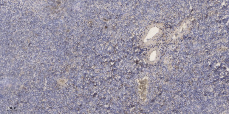 ER65943_1.jpg