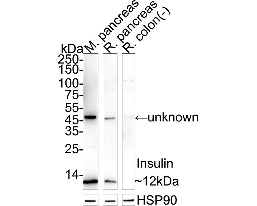 ET1601-12_10.jpg