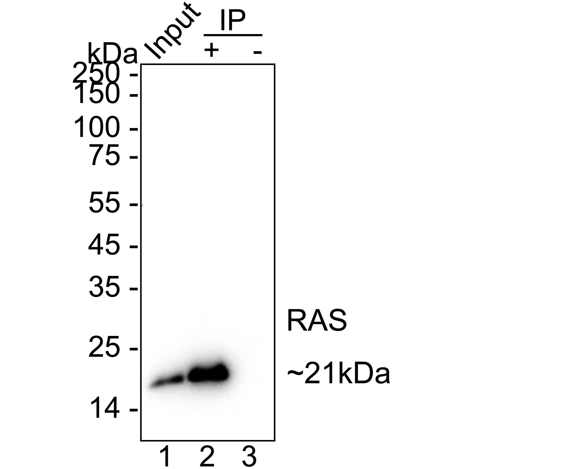 ET1601-16_8.jpg