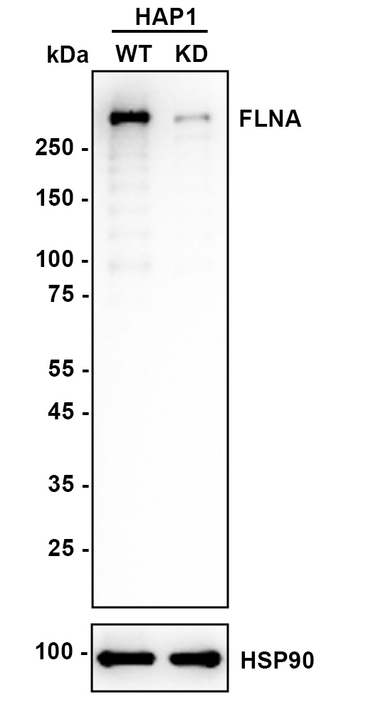 ET1601-3_2.jpg