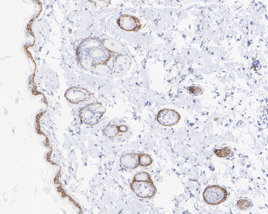 ET1602-14_4.jpg