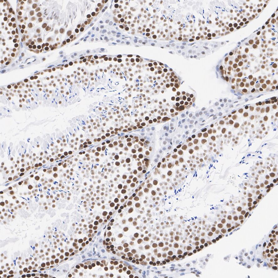 ET1604-39_6.jpg
