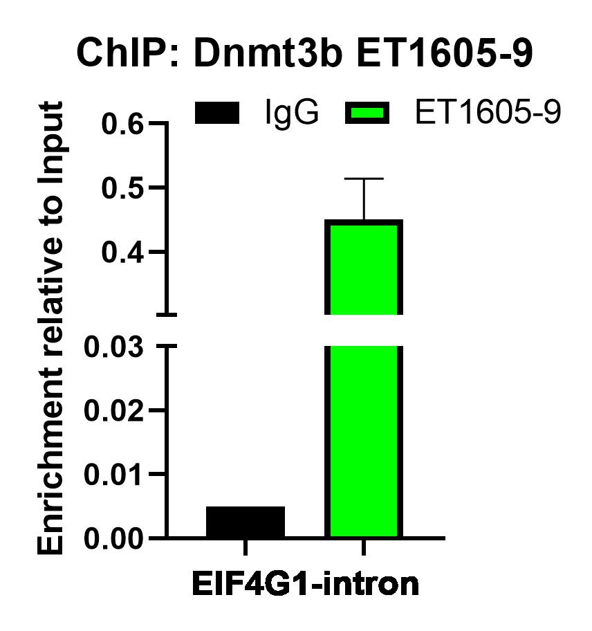 ET1605-9_5.jpg