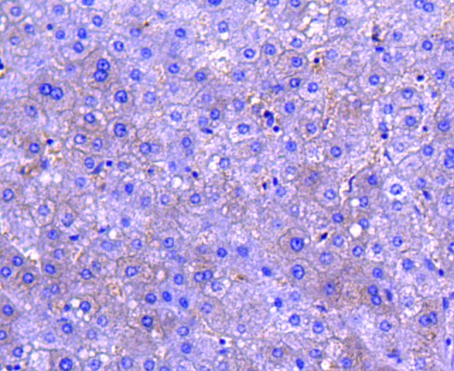 ET1609-1_9.jpg