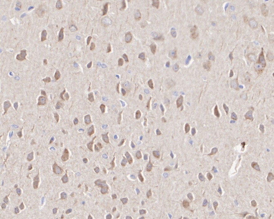 ET1610-11_7.jpg