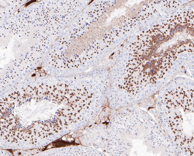 ET1610-2_2.jpg