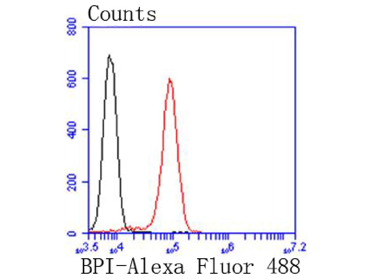 ET1611-6_3.jpg