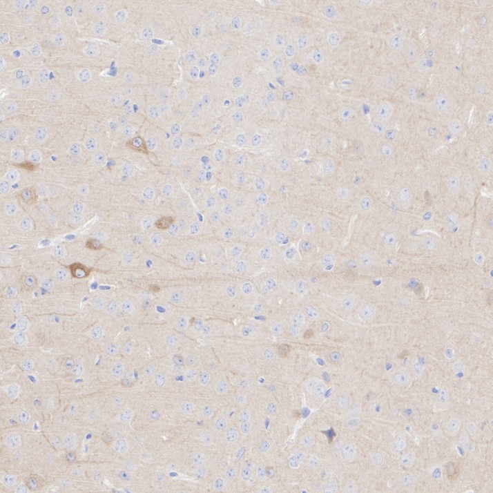 ET1612-10_4.jpg