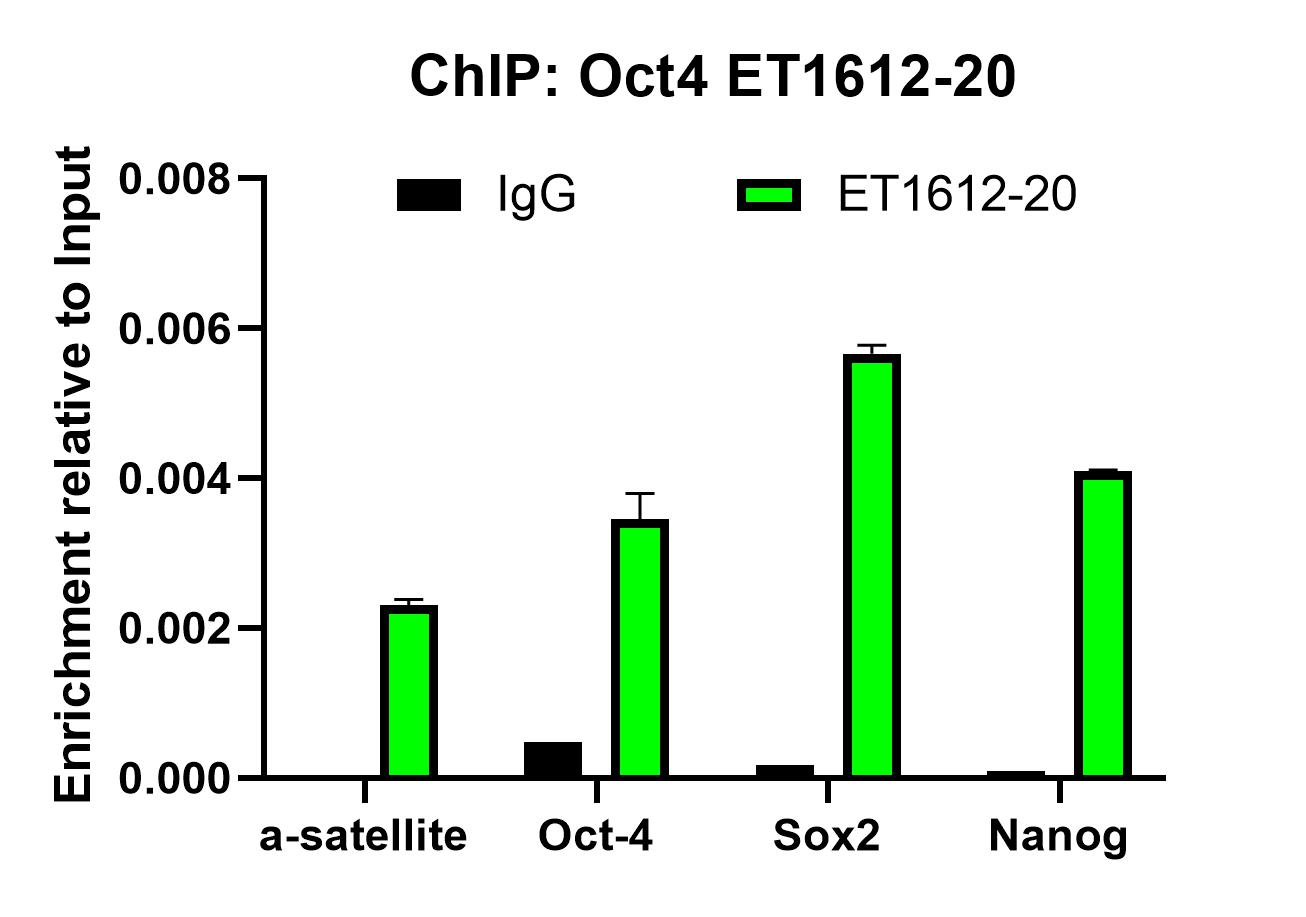 ET1612-20_8.jpg