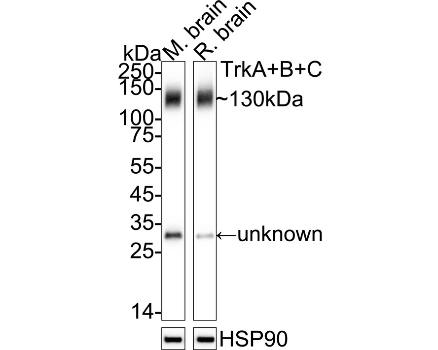 ET1701-16_1.jpg