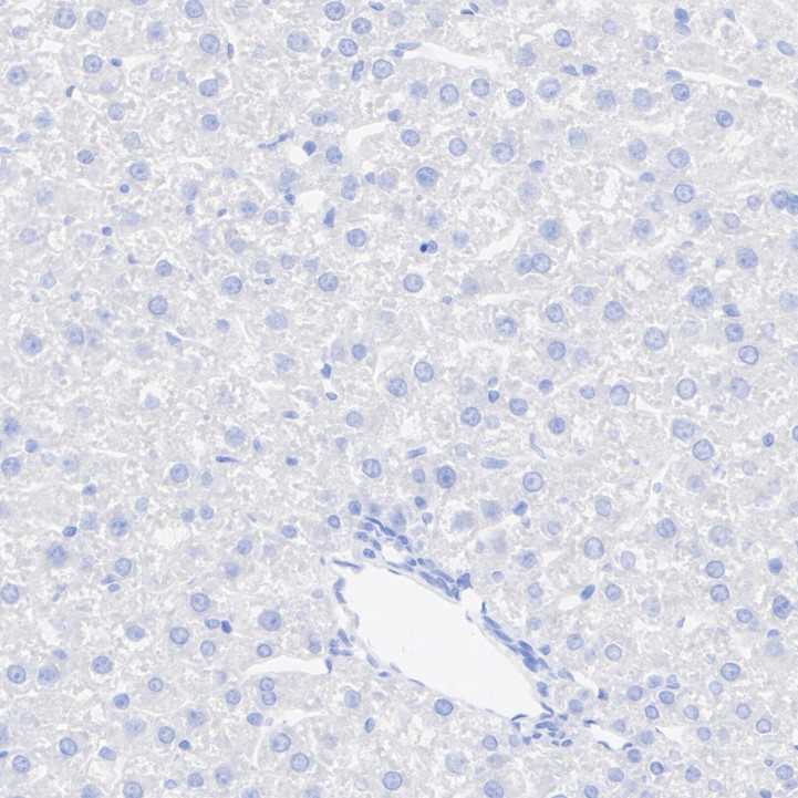 ET1701-16_5.jpg