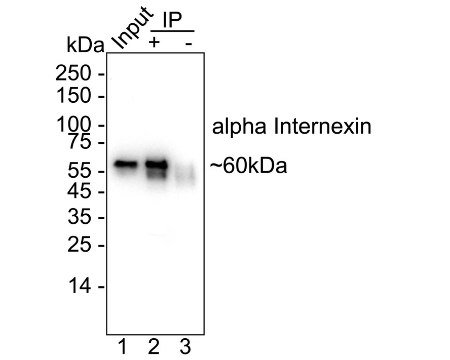 ET1706-23_8.jpg