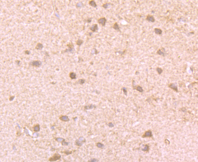 ET7106-91_6.jpg