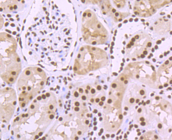 ET7107-02_8.jpg