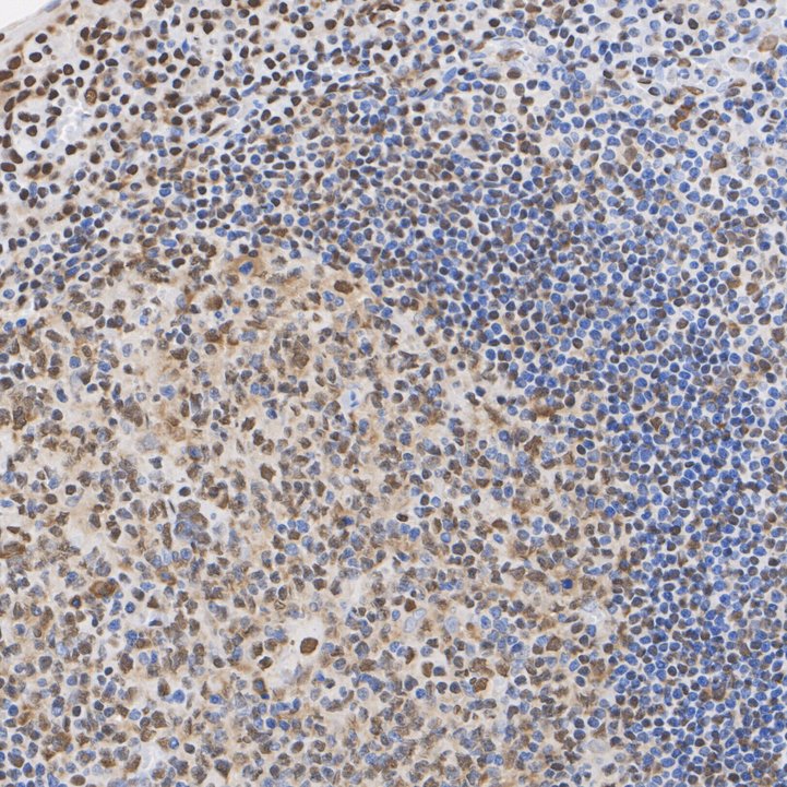 ET7107-18_7.jpg