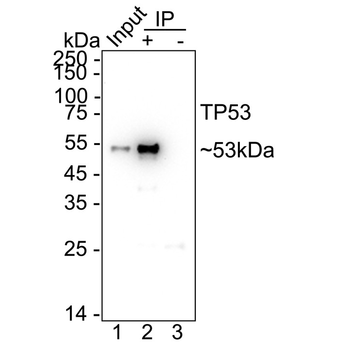ET7107-33_6.jpg