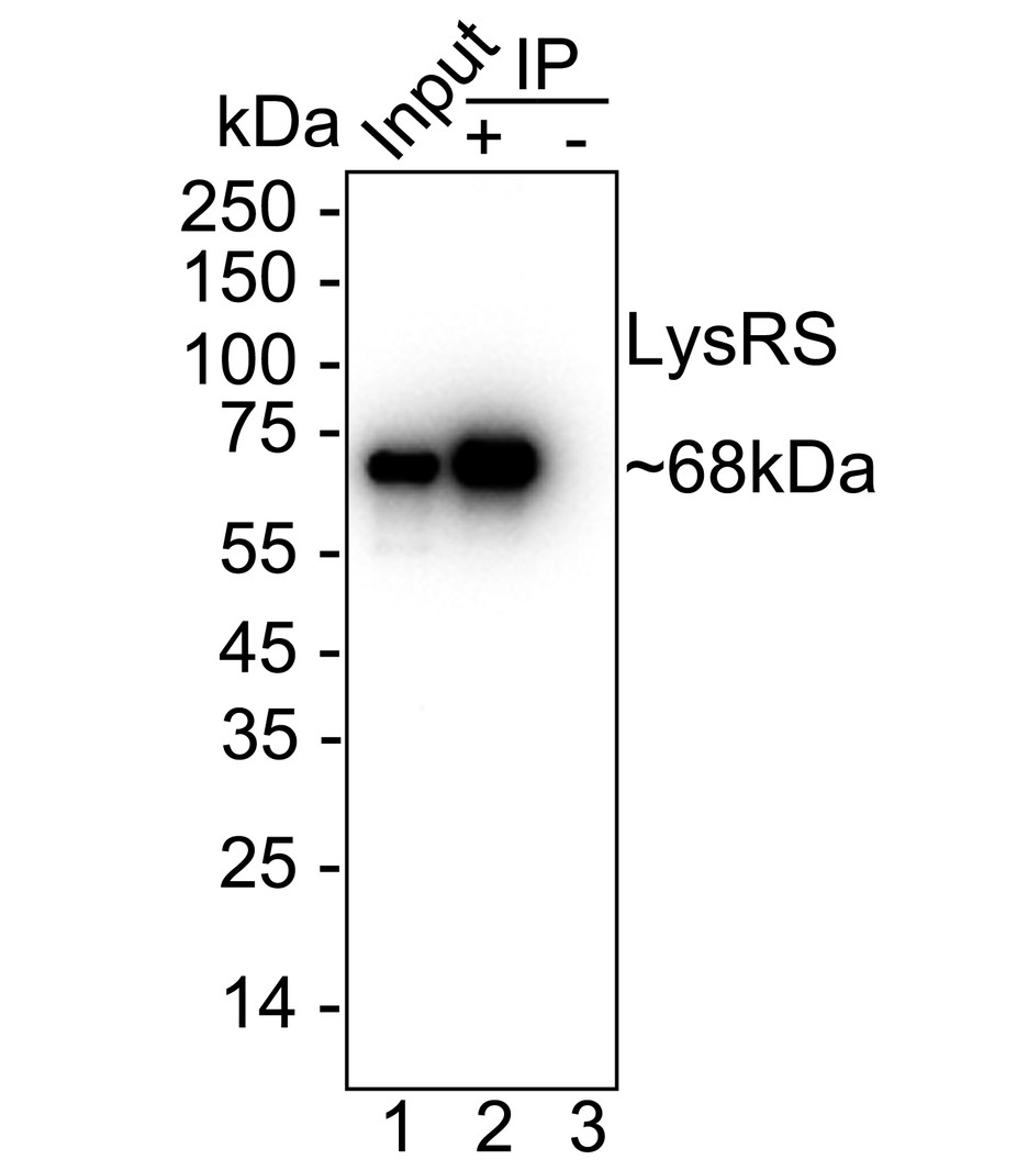 ET7109-10_10.jpg