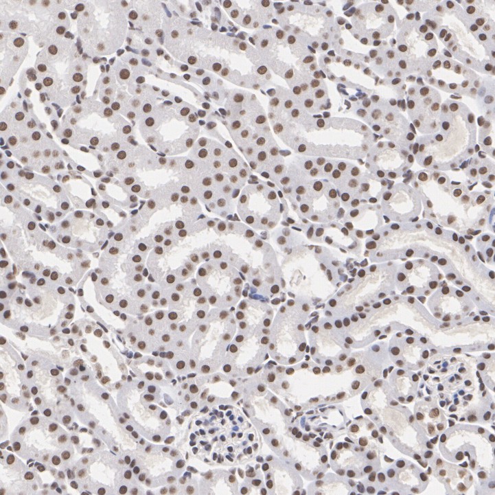 ET7109-52_10.jpg