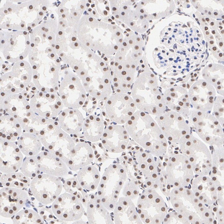 ET7109-52_12.jpg