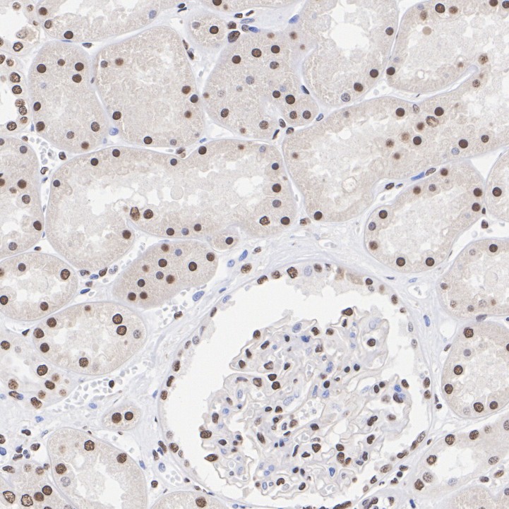 ET7109-52_8.jpg