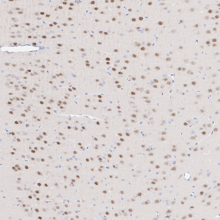 ET7111-41_5.jpg