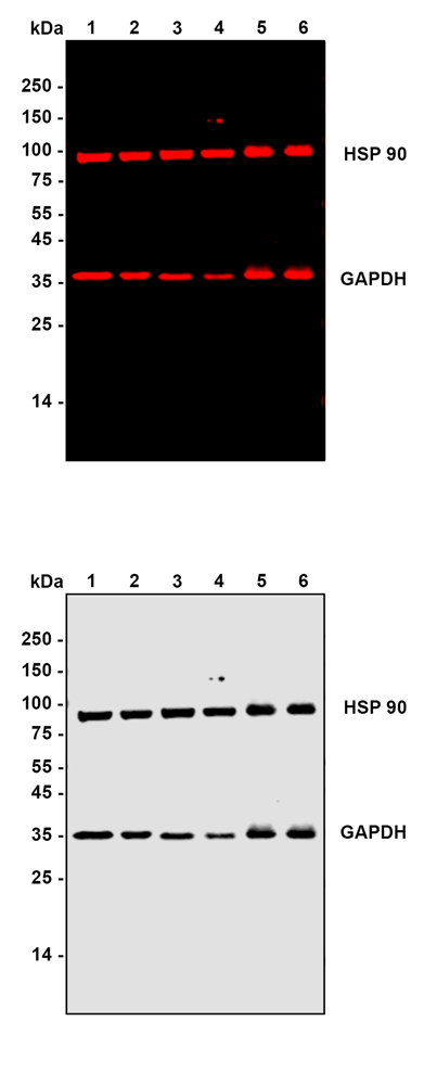 HA1150_1.jpg
