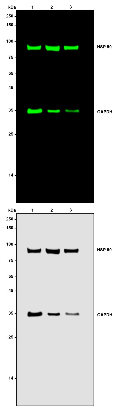 HA1152_1.jpg
