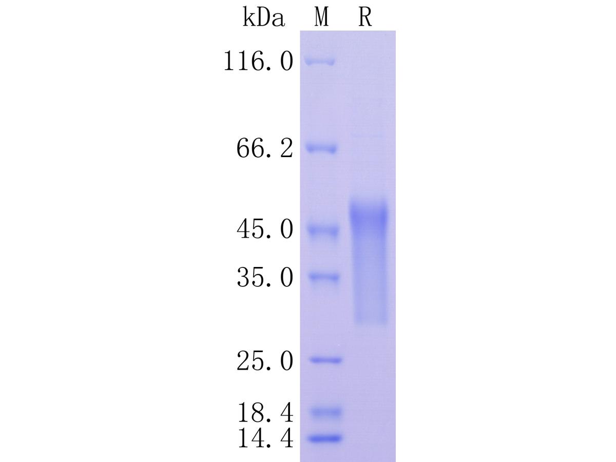 HA210850_1.jpg
