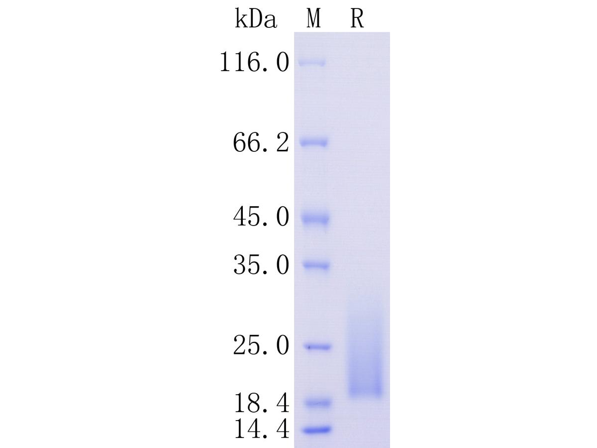 HA210928_1.jpg