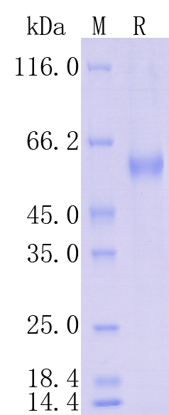 HA210977_1.jpg