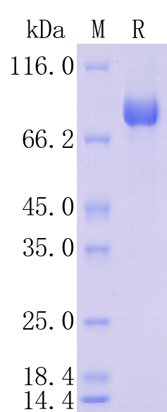 HA210984_1.jpg