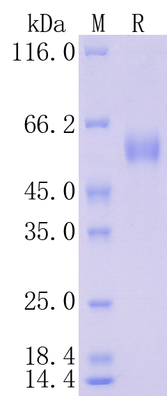 HA210985_1.jpg