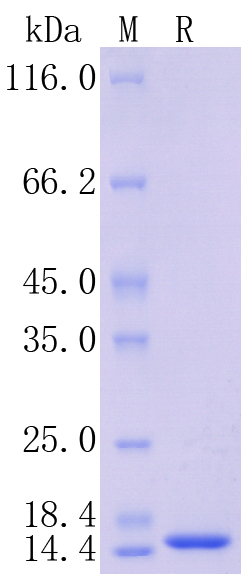 HA210986_1.jpg