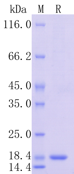 HA210988_1.jpg