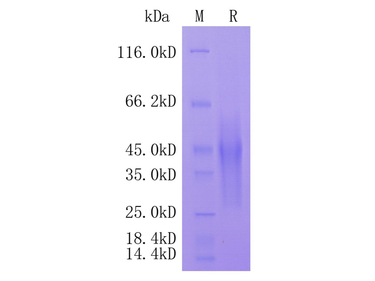 HA211059_1.jpg