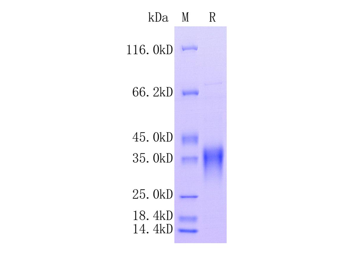 HA211340_1.jpg