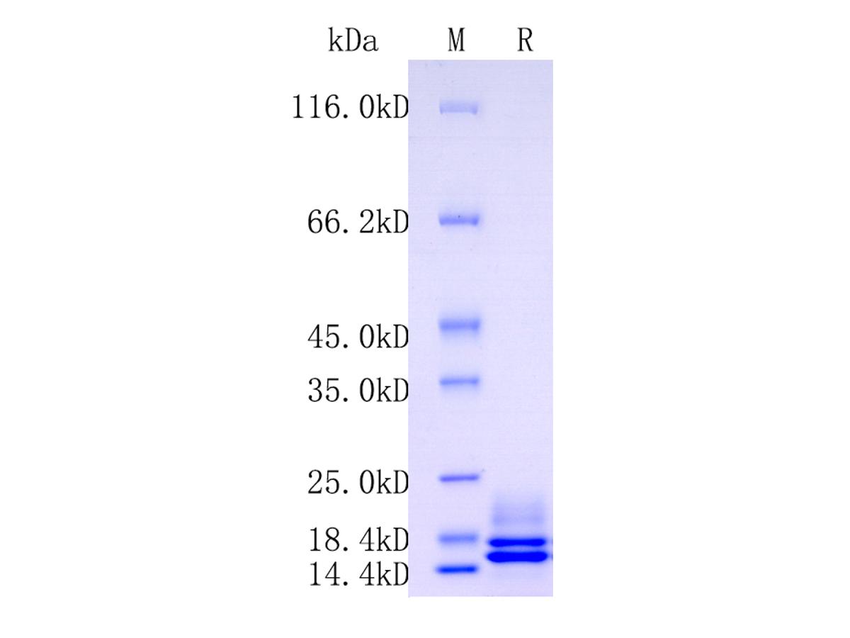 HA211405_1.jpg