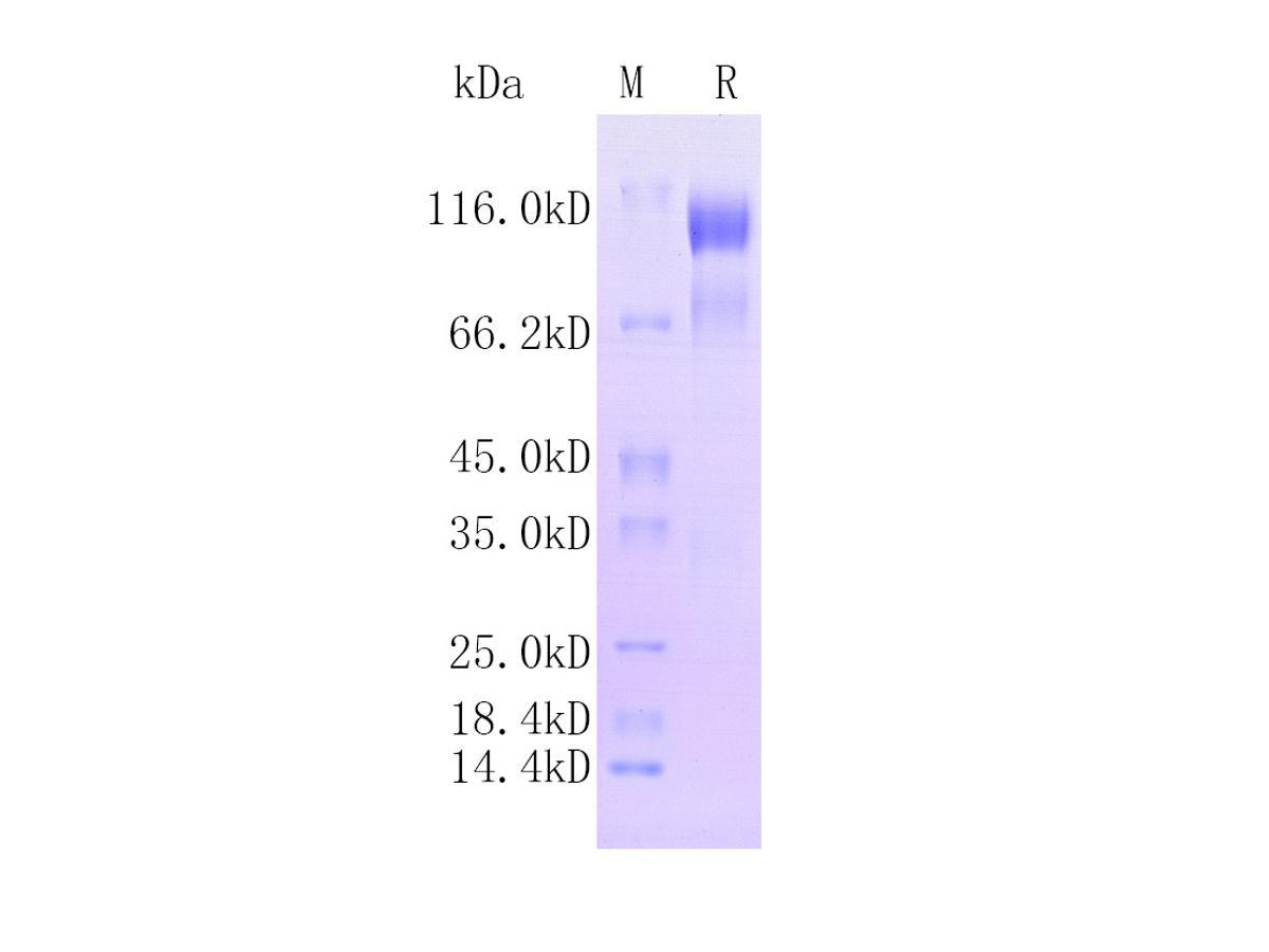 HA211625_1.jpg