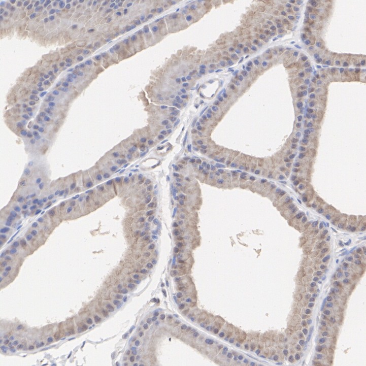 HA500138_6.jpg