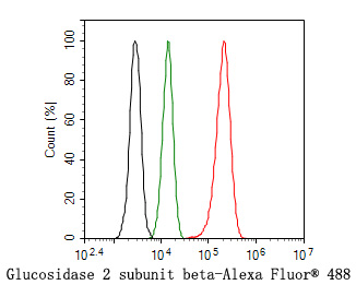 HA500152_6.jpg