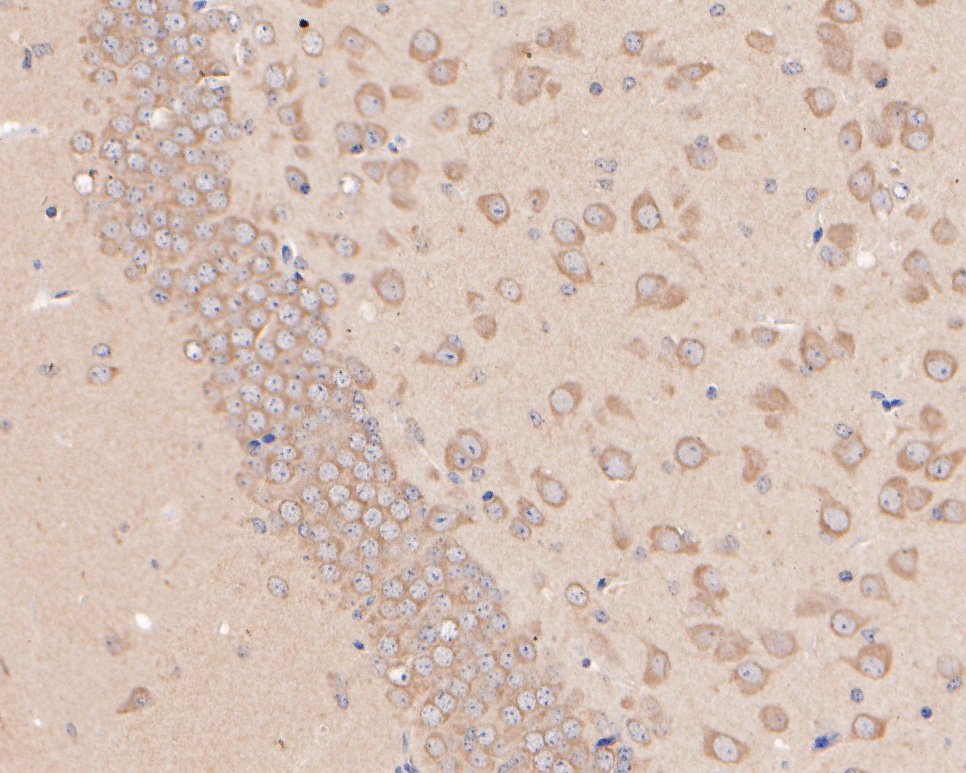 HA500153_4.jpg