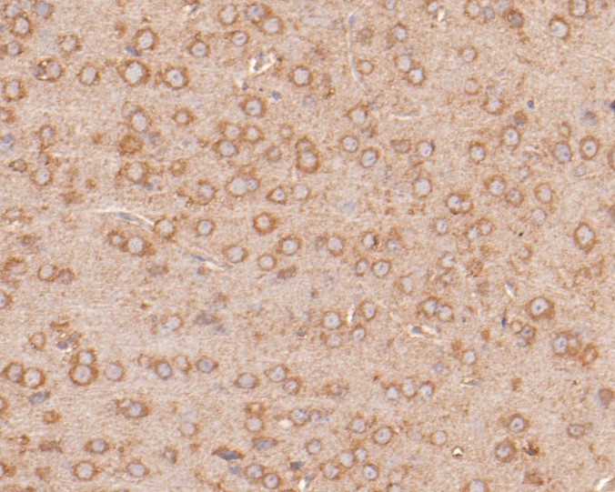HA500169_5.jpg