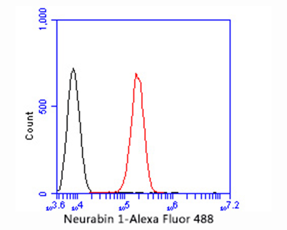 HA500169_6.jpg