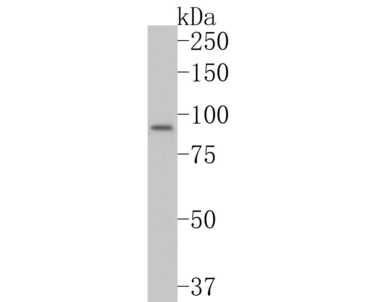 HA500220_1.jpg