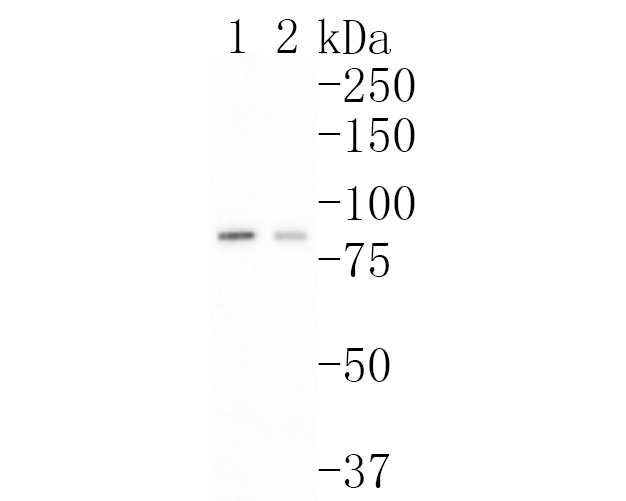 HA500220_2.jpg