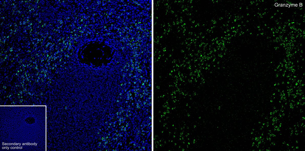 HA500252_4.jpg