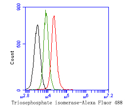 HA500283_10.jpg