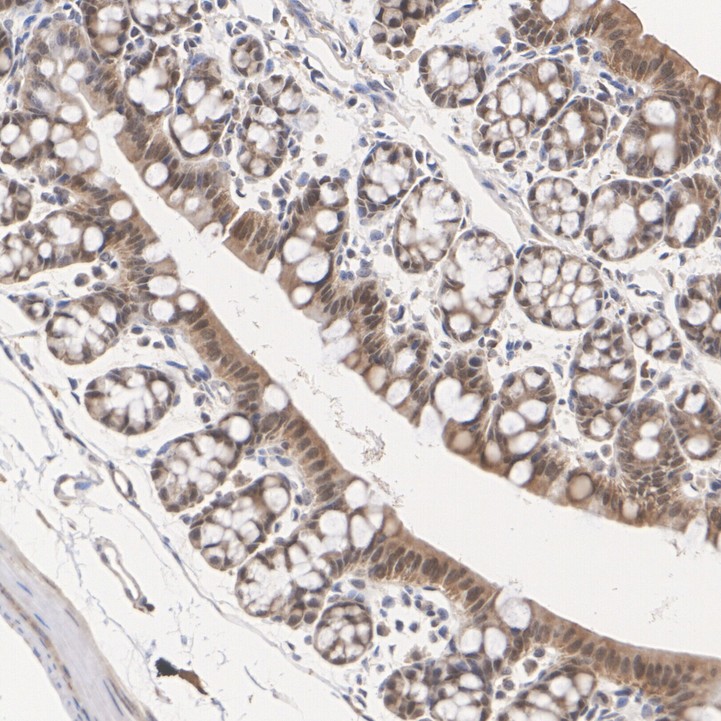 HA500283_6.jpg