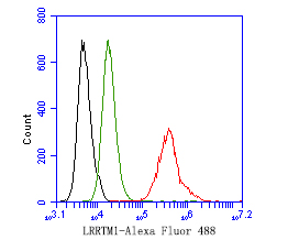 HA500418_3.jpg